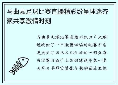 马曲县足球比赛直播精彩纷呈球迷齐聚共享激情时刻